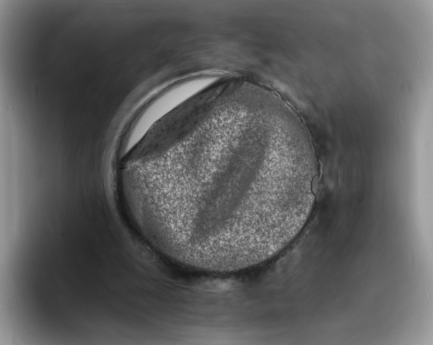 X0000094200247200711091224