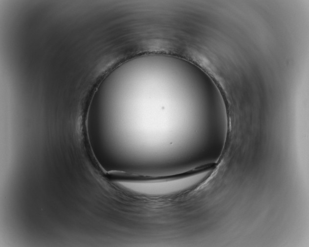 X0000094200249200711091224