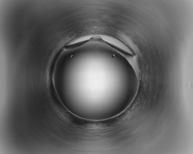 X0000094200250200711091224