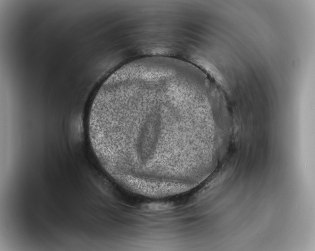 X0000094200251200711091224