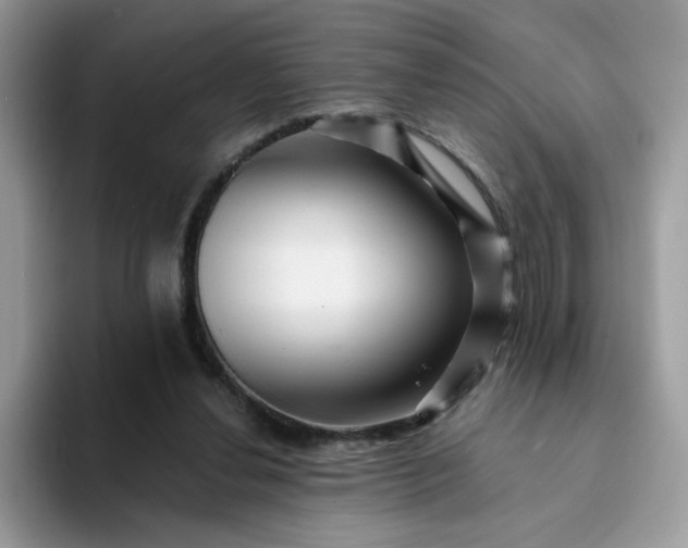 X0000094200252200711091224