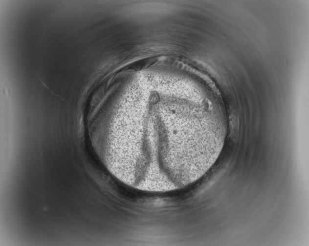 X0000094200254200711091224