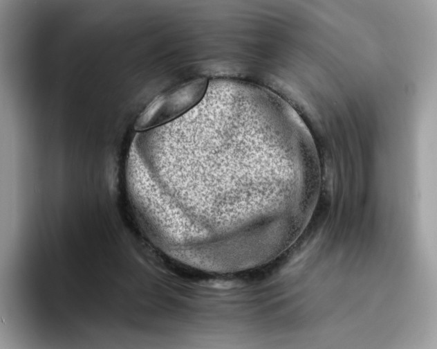 X0000094200255200711091224