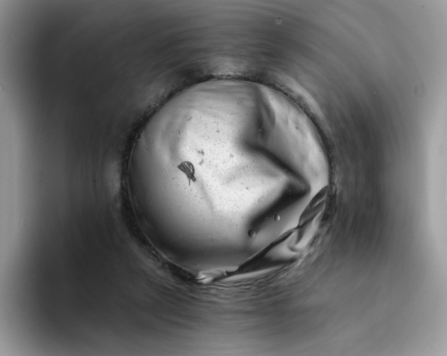 X0000094200257200711091224