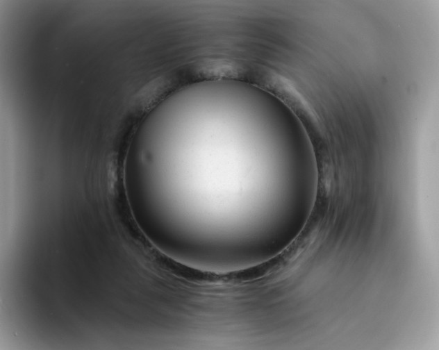 X0000094200259200711091224