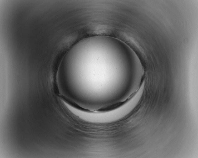 X0000094200260200711091224