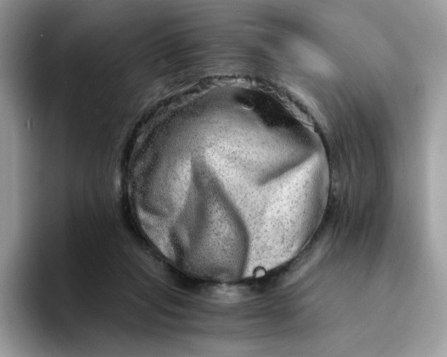 X0000094200261200711091224