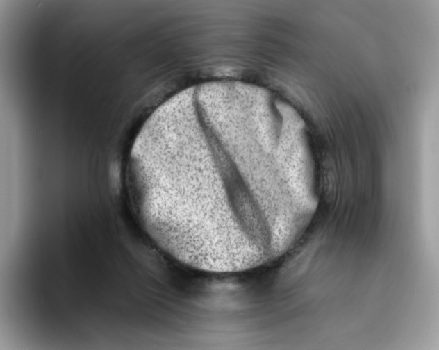 X0000094200262200711091224