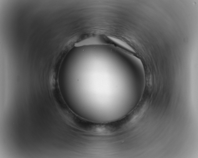 X0000094200264200711091224