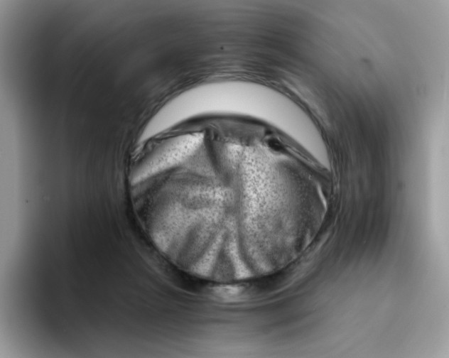 X0000094200265200711091224