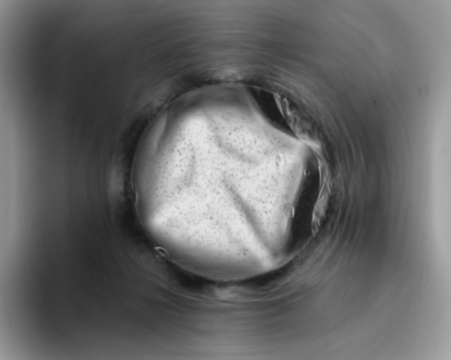 X0000094200268200711091224