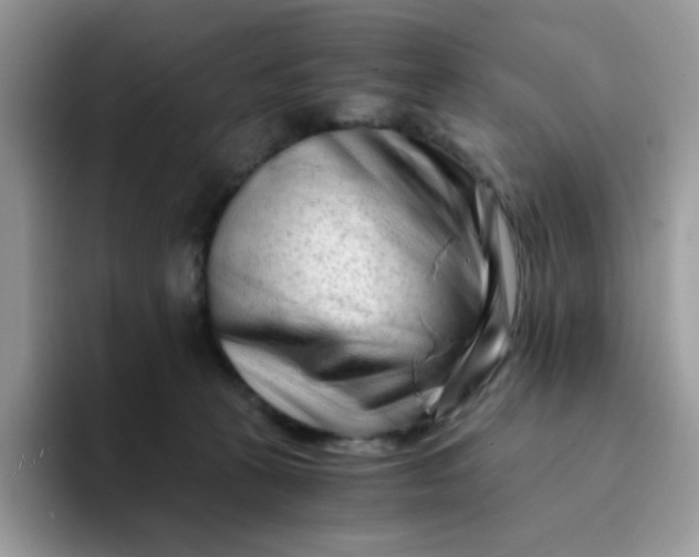 X0000094200273200711091225