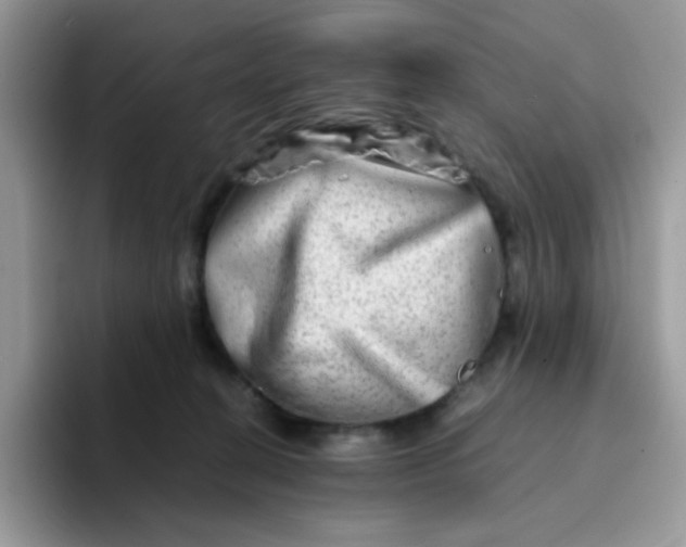 X0000094200274200711091225