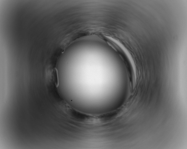 X0000094200276200711091225