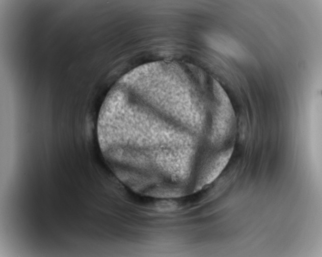 X0000094200279200711091225