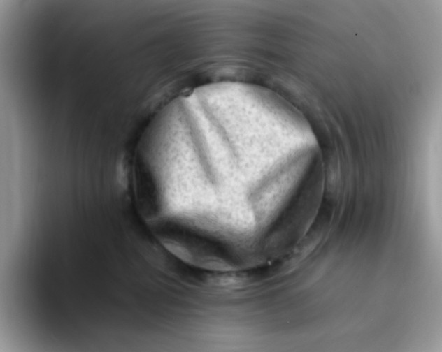 X0000094200282200711091225