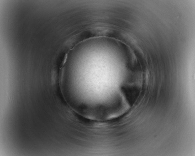 X0000094200283200711091225