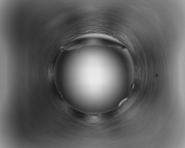 X0000094200285200711091225