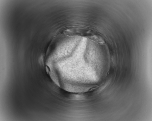 X0000094200286200711091225