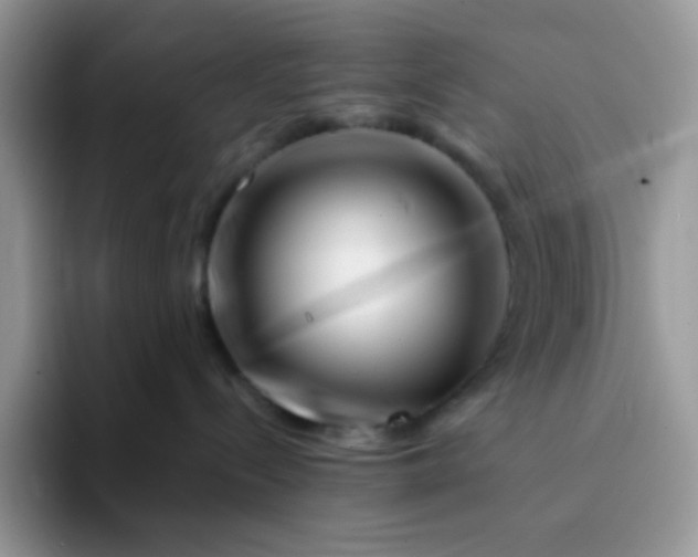 X0000094200288200711091225