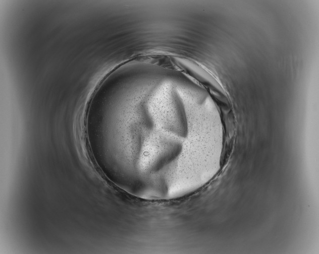 X0000094200289200711091224