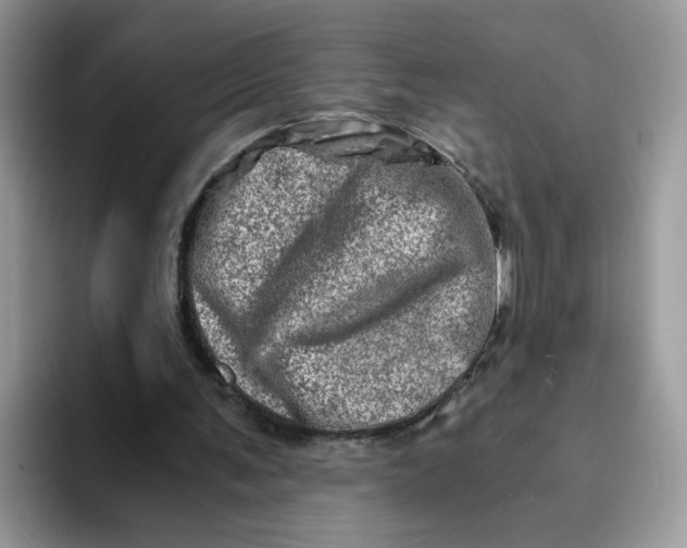 X0000094200291200711091224