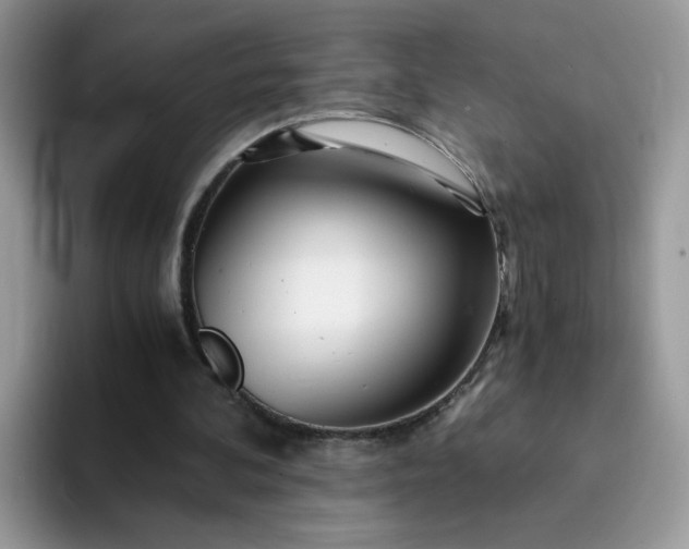 X0000094200292200711091224