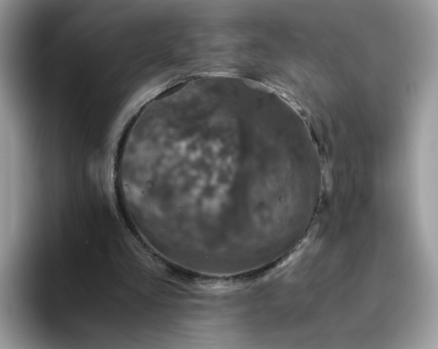 X0000094200293200711091224