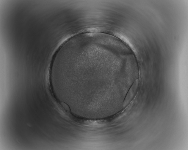 X0000094200297200711091224