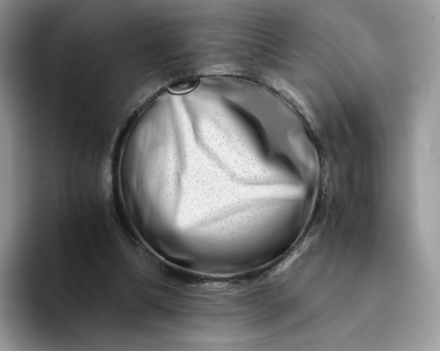 X0000094200298200711091224