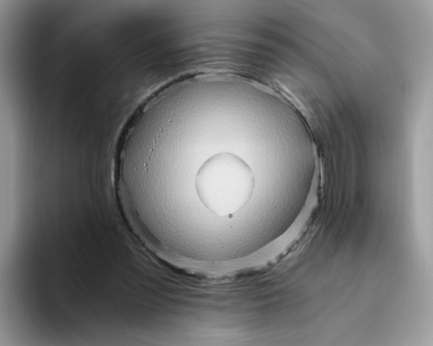 X0000094200301200711091224