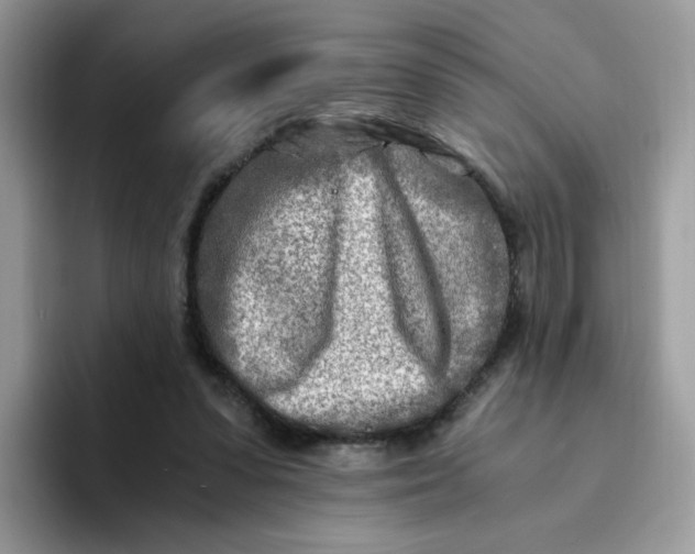 X0000094200303200711091224