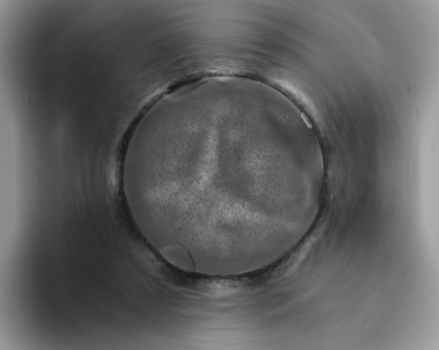 X0000094200305200711091224