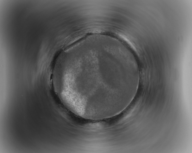 X0000094200307200711091224