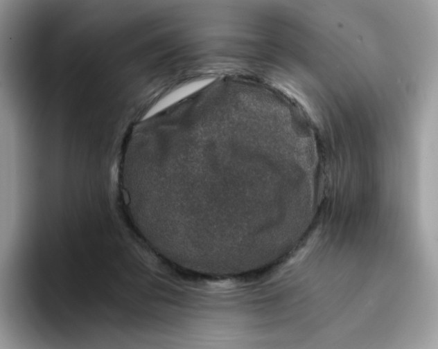 X0000094200309200711091224