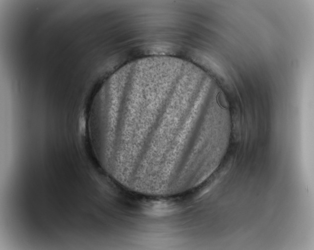 X0000094200310200711091224