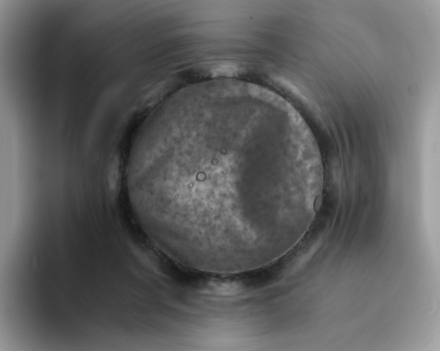 X0000094200311200711091224