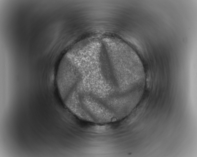 X0000094200314200711091224