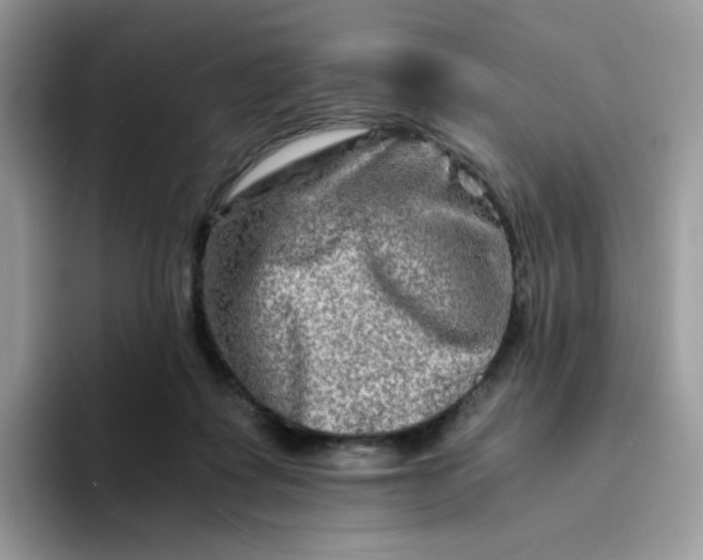 X0000094200315200711091224