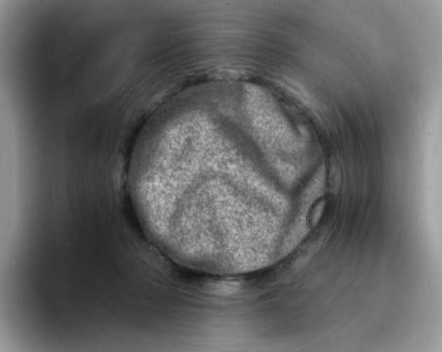 X0000094200318200711091224