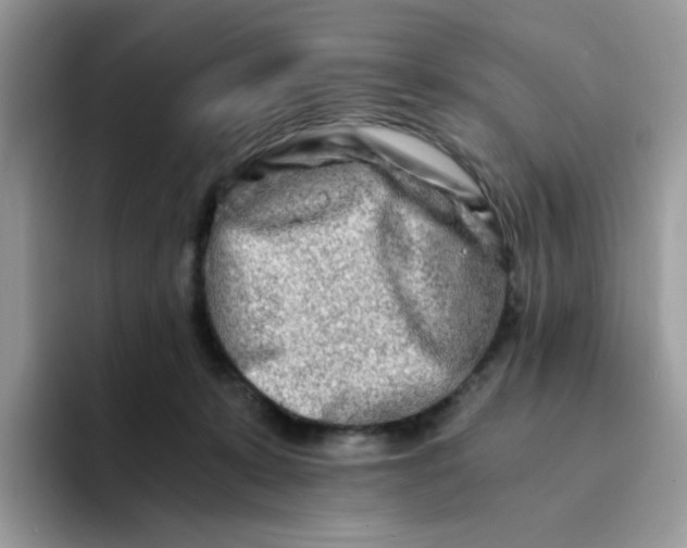 X0000094200319200711091224