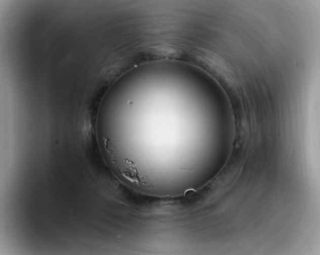 X0000094200320200711091224