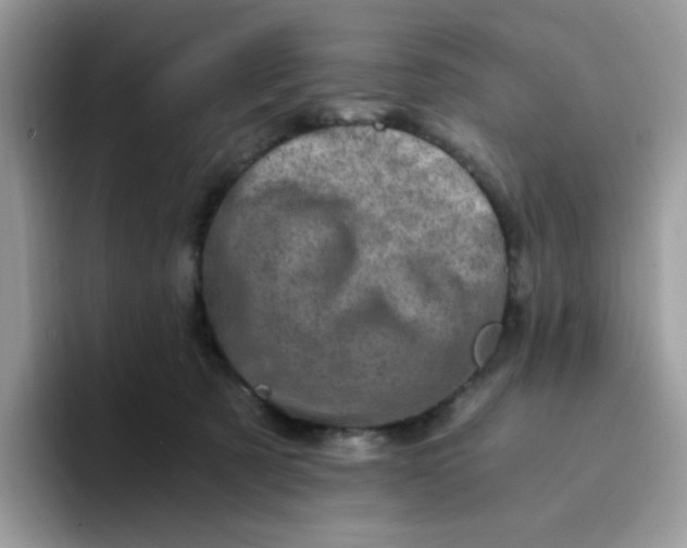 X0000094200321200711091224