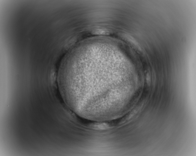 X0000094200322200711091224