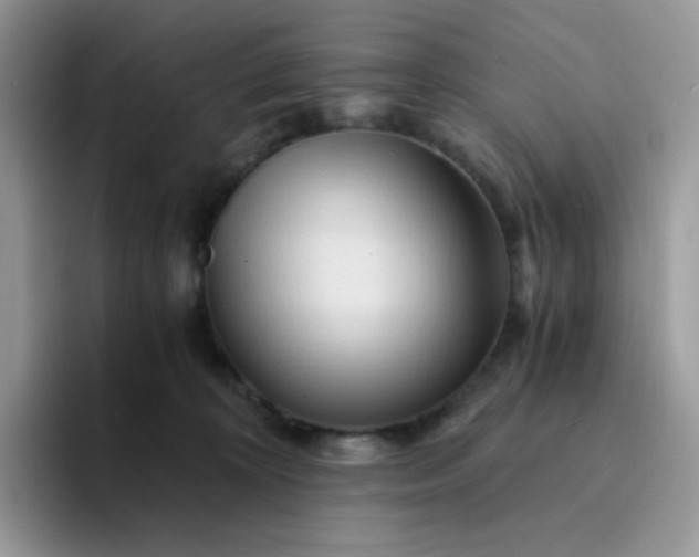 X0000094200324200711091224