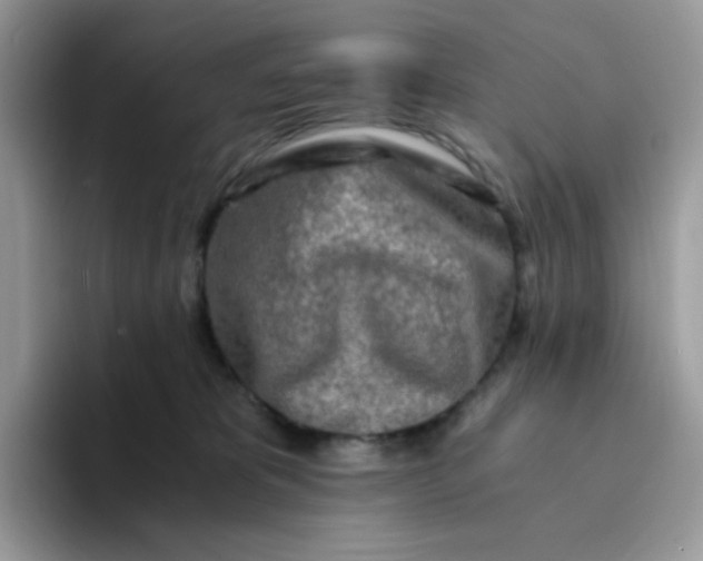 X0000094200325200711091224