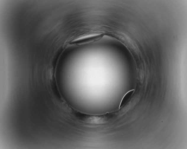 X0000094200326200711091224