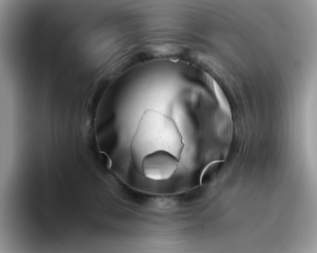 X0000094200327200711091224