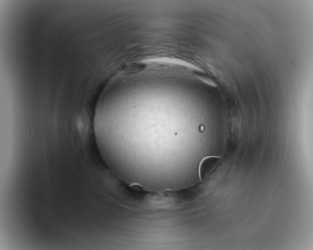 X0000094200331200711091224