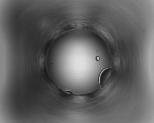 X0000094200332200711091224